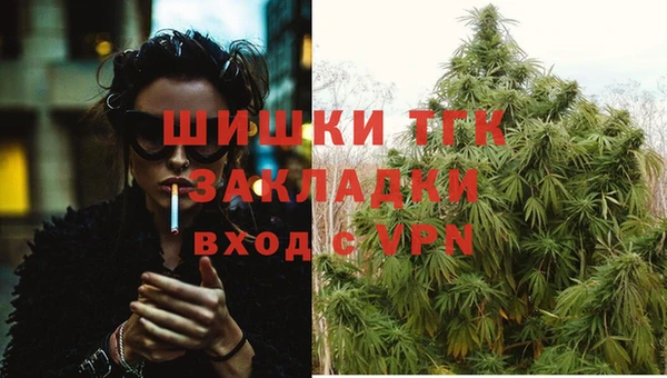 спиды Бугульма