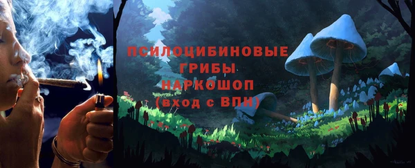 спиды Бугульма