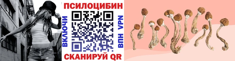 купить наркотики цена  Бузулук  Галлюциногенные грибы Cubensis 